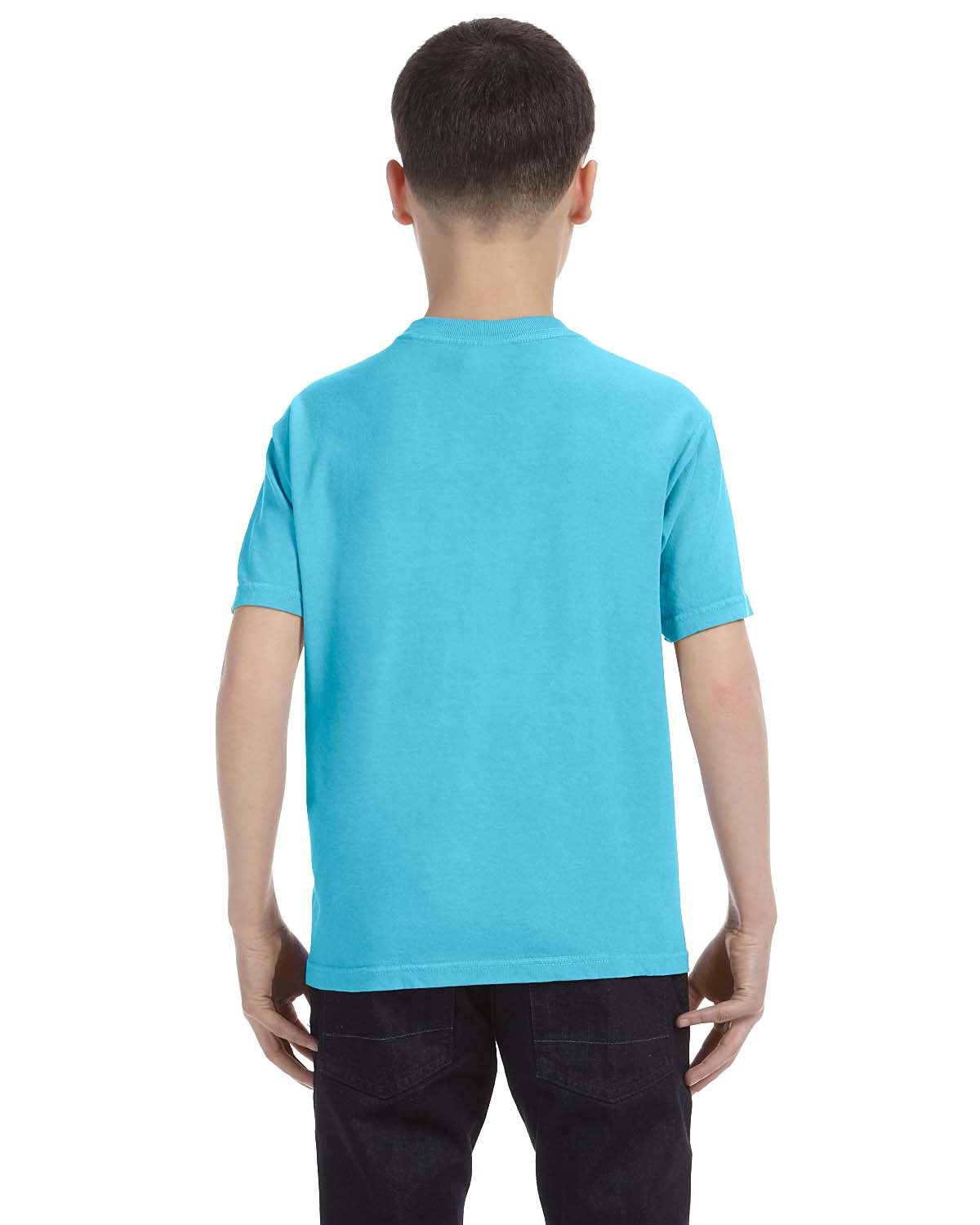 Comfort Colors Youth Midweight T-Shirt | alphabroder