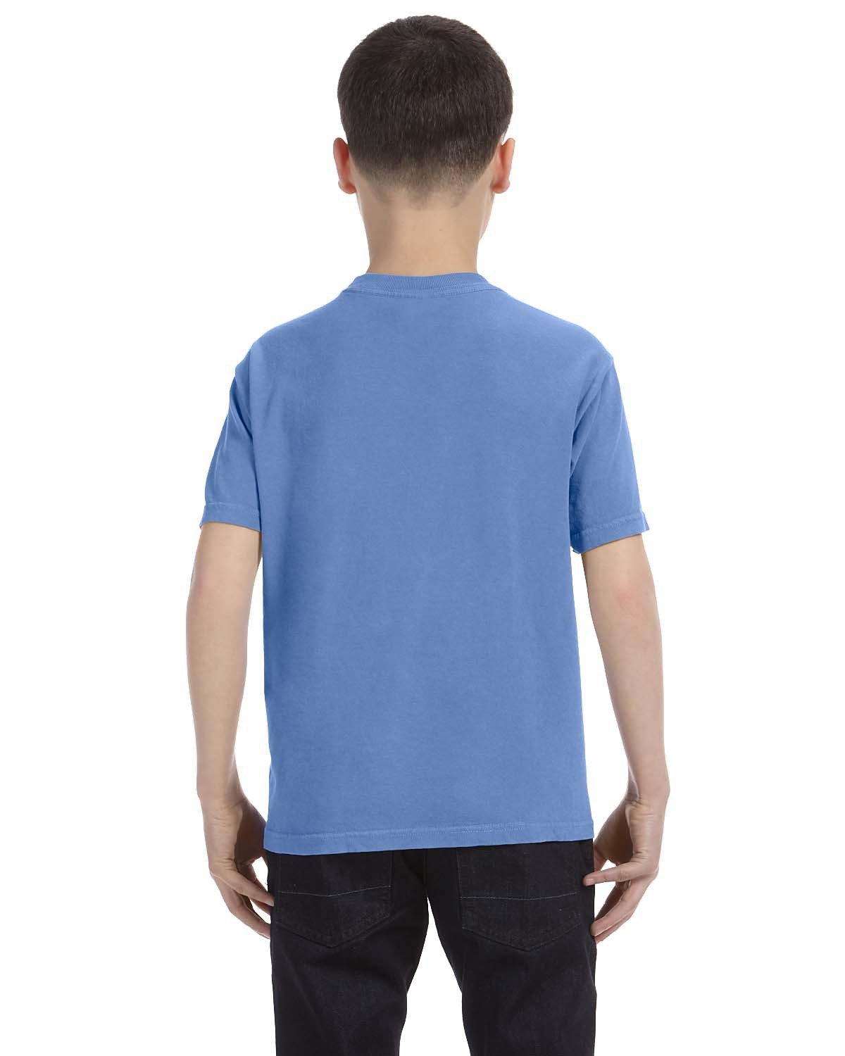Comfort Colors Youth Midweight T-Shirt | alphabroder