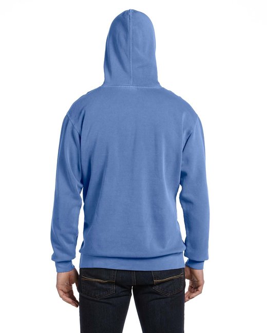 Comfort Colors Adult Hooded Sweatshirt | alphabroder