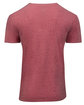 Threadfast Apparel Unisex Triblend Short-Sleeve T-Shirt red triblend OFBack