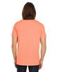 Threadfast Apparel Unisex Pigment-Dye Short-Sleeve T-Shirt TANGERINE ModelBack