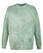 Comfort Colors Adult Color Blast Crewneck Sweatshirt FERN OFFront