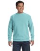 Comfort Colors Adult Crewneck Sweatshirt  