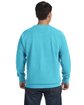 Comfort Colors Adult Crewneck Sweatshirt LAGOON BLUE ModelBack