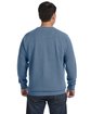 Comfort Colors Adult Crewneck Sweatshirt blue jean ModelBack