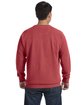 Comfort Colors Adult Crewneck Sweatshirt crimson ModelBack