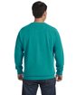 Comfort Colors Adult Crewneck Sweatshirt seafoam ModelBack
