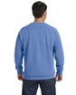 Comfort Colors Adult Crewneck Sweatshirt flo blue ModelBack
