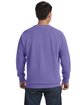 Comfort Colors Adult Crewneck Sweatshirt VIOLET ModelBack