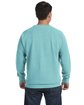 Comfort Colors Adult Crewneck Sweatshirt chalky mint ModelBack