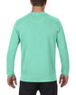 Comfort Colors Adult Crewneck Sweatshirt ISLAND REEF ModelBack