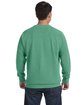 Comfort Colors Adult Crewneck Sweatshirt ISLAND GREEN ModelBack