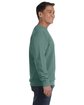 Comfort Colors Adult Crewneck Sweatshirt LIGHT GREEN ModelSide