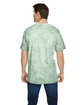 Comfort Colors Adult Heavyweight Color Blast T-Shirt fern ModelBack