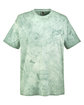 Comfort Colors Adult Heavyweight Color Blast T-Shirt FERN OFFront