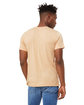 Bella + Canvas Unisex Triblend T-Shirt SAND DUNE TRBLND ModelBack