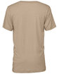 Bella + Canvas Unisex Triblend T-Shirt TAN TRIBLEND FlatBack