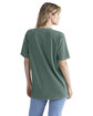 Next Level Apparel Unisex Soft Wash T-Shirt washed roy pine ModelBack