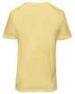 Next Level Apparel Unisex Soft Wash T-Shirt wsh banana cream OFBack