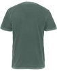 Next Level Apparel Unisex Soft Wash T-Shirt washed roy pine OFBack
