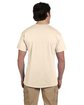 Fruit of the Loom Adult HD Cotton™ T-Shirt natural ModelBack