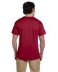 Fruit of the Loom Adult HD Cotton™ T-Shirt cardinal ModelBack