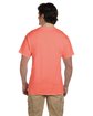 Fruit of the Loom Adult HD Cotton™ T-Shirt retro hth coral ModelBack