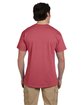 Fruit of the Loom Adult HD Cotton™ T-Shirt crimson ModelBack