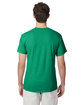 Hanes Adult Perfect-T Triblend T-Shirt kelly green hth ModelBack