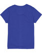 Hanes Ladies' Perfect-T Triblend V-Neck T-shirt royal triblend FlatBack
