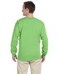 Fruit of the Loom Adult HD Cotton™ Long-Sleeve T-Shirt kiwi ModelBack