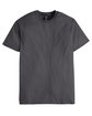 Hanes Unisex Perfect-T PreTreat T-Shirt smoke gray FlatFront