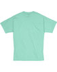 Hanes Unisex Beefy-T® T-Shirt CLEAN MINT FlatBack