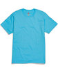 Hanes Men's Authentic-T T-Shirt BLUE HORIZON FlatFront