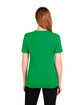 Next Level Apparel Unisex Triblend T-Shirt envy ModelBack