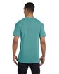 Comfort Colors Adult Heavyweight RS Pocket T-Shirt seafoam ModelBack