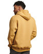Russell Athletic Unisex Dri-Power® Hooded Sweatshirt almond ModelBack