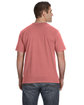 Gildan Lightweight T-Shirt CANYON ModelBack