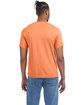 Alternative Unisex Go-To T-Shirt PUMPKIN ModelBack