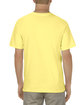 American Apparel Adult 5.5 oz., 100% Soft Spun Cotton T-Shirt BANANA ModelBack