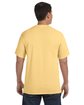 Comfort Colors Adult Heavyweight T-Shirt BUTTER ModelBack