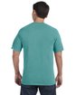 Comfort Colors Adult Heavyweight T-Shirt seafoam ModelBack