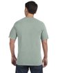 Comfort Colors Adult Heavyweight T-Shirt BAY ModelBack