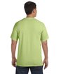 Comfort Colors Adult Heavyweight T-Shirt celadon ModelBack