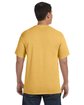 Comfort Colors Adult Heavyweight T-Shirt mustard ModelBack