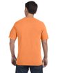 Comfort Colors Adult Heavyweight T-Shirt melon ModelBack