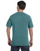 Comfort Colors Adult Heavyweight T-Shirt BLUE SPRUCE ModelBack
