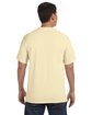 Comfort Colors Adult Heavyweight T-Shirt BANANA ModelBack