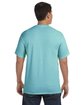 Comfort Colors Adult Heavyweight T-Shirt chalky mint ModelBack