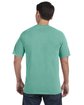 Comfort Colors Adult Heavyweight T-Shirt ISLAND REEF ModelBack